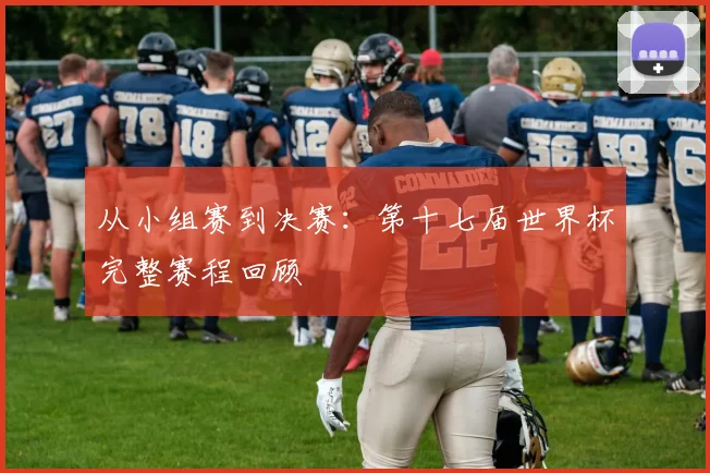 从小组赛到决赛：第十七届世界杯完整赛程回顾